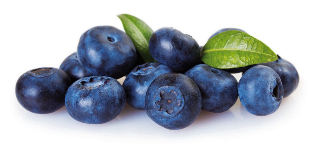 Blaubeeren