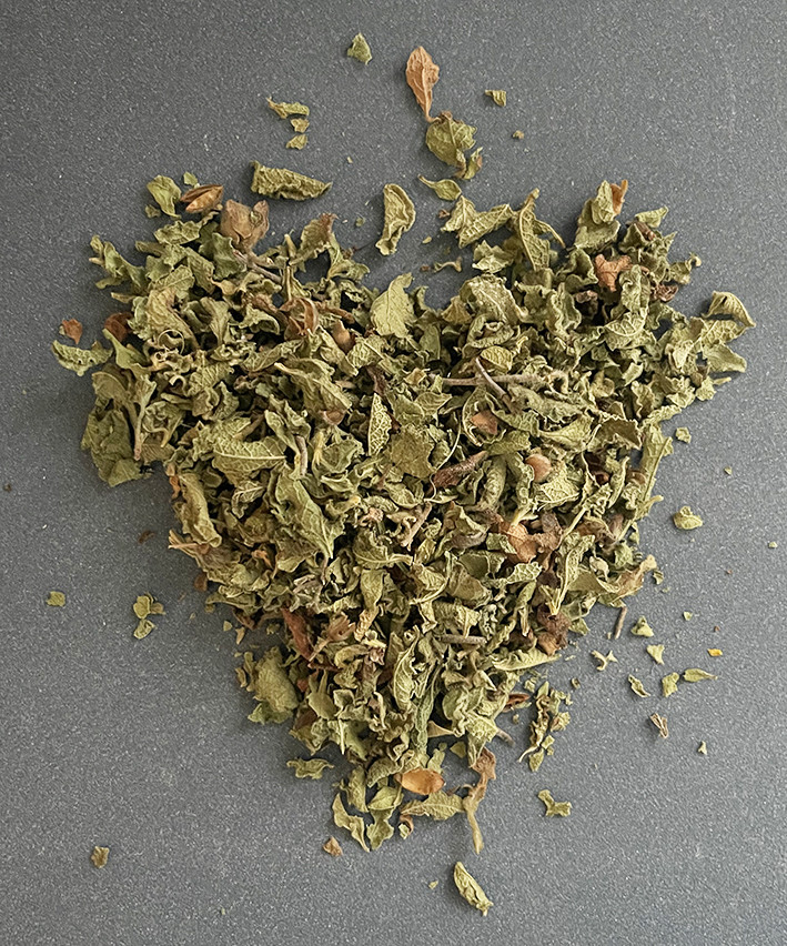 Cistus_Creticus_RGBn9h7tHpcF0E4Y