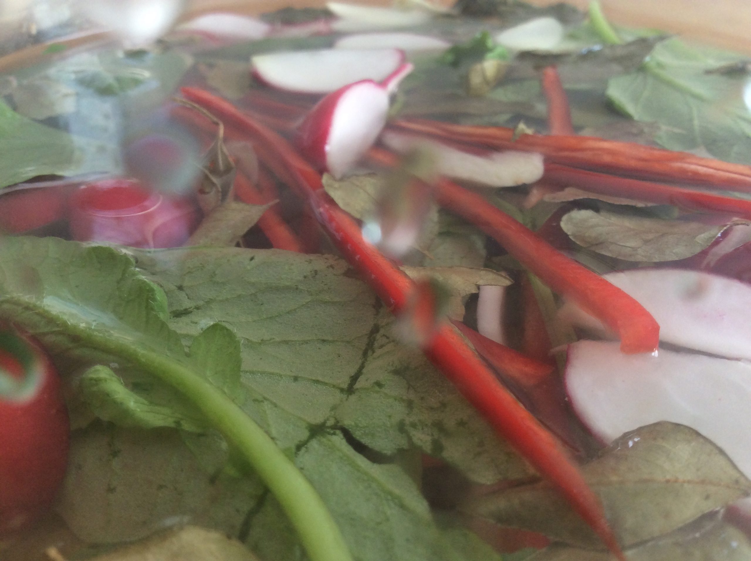 Mildknackige-Radieschen-Pickles