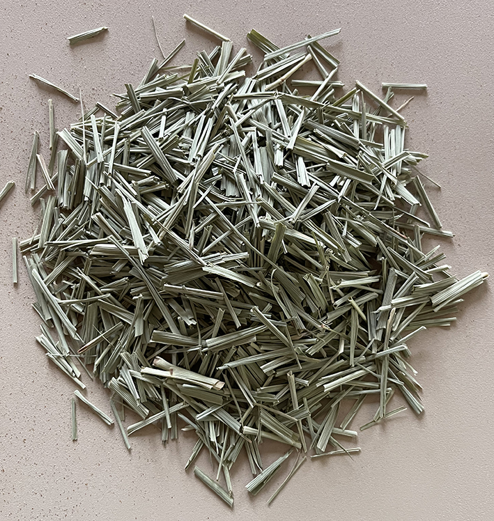 Zitronengras 50 g BIO/kbA
