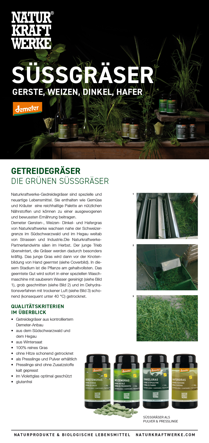 FLY_Suessgraesser_A6_2024-1FucL3HQy7Xrlz