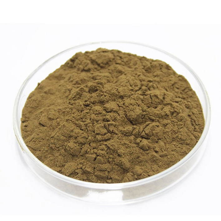 organic-reishi-extract-powder