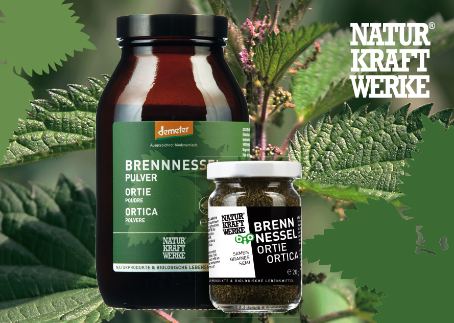 Brennnessel_KARTE_2022-1