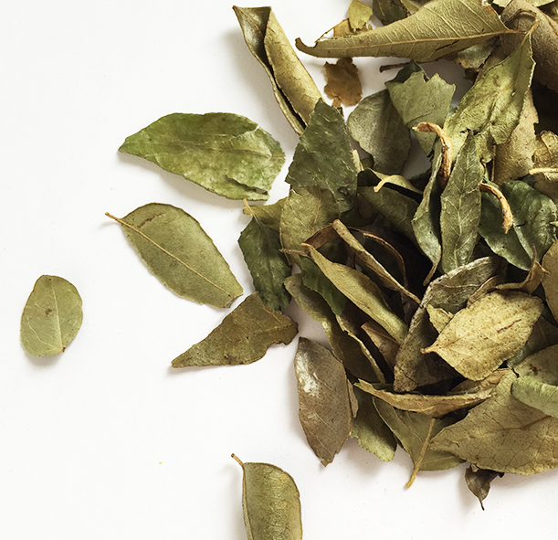 CurryLeaves_Inhalt2
