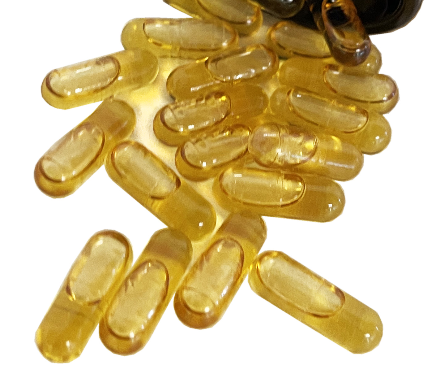 Schwarzkümmelöl 200 Vegicaps à 595 mg BIO/kbA