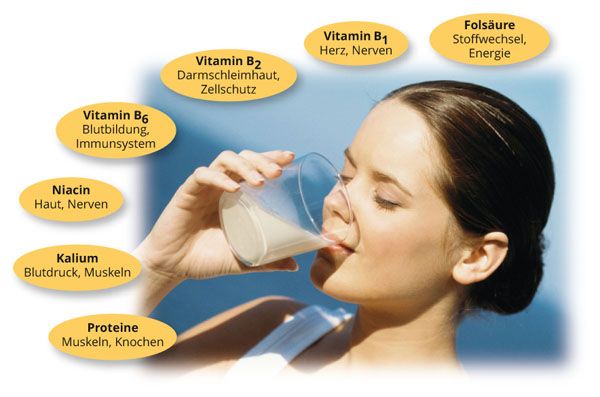 Dr. Metz Panaktiv® 500 ml