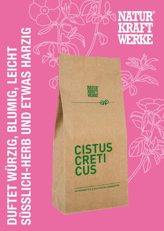 Cistus_Creticus_KARTE_2023-1