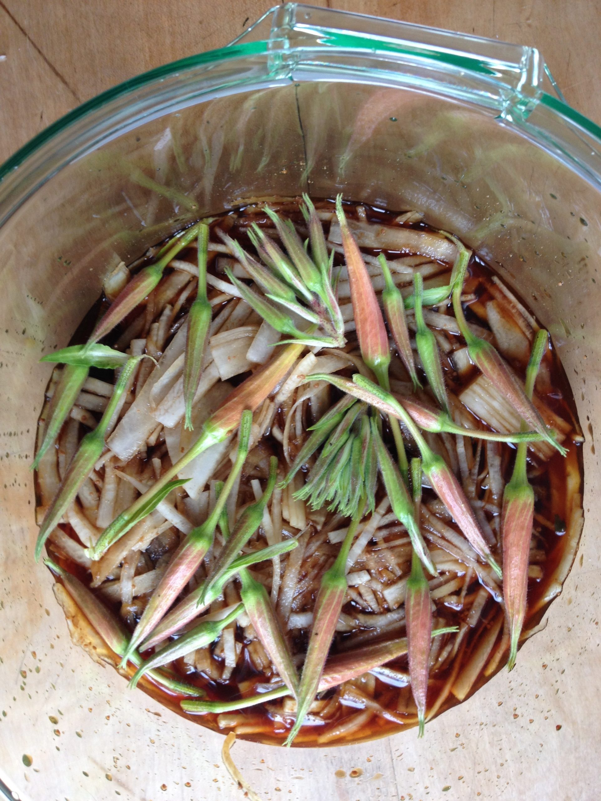 Taglilien-Daikon-Misopickles
