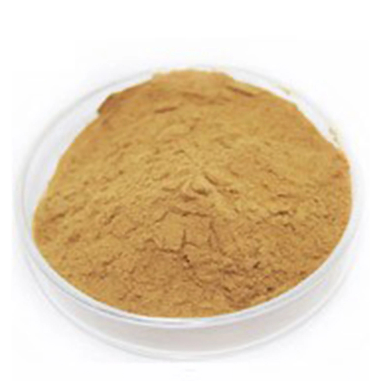 organic-Lions-Mane-extract-powder