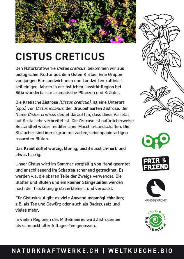 Cistus_Creticus_KARTE_2023-2