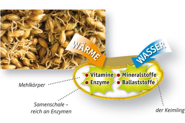 Dr. Metz CereGran® 500 g BIO/kbA